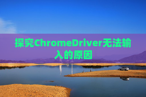 探究ChromeDriver无法输入的原因